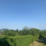 Mandulás A Kisház Dézsával és Kilátással A Balatonra * Balatongyörök