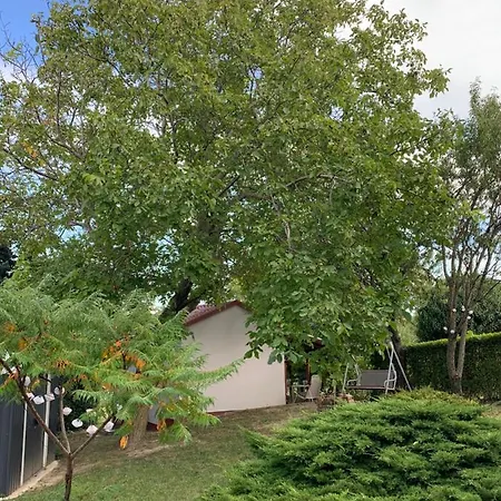 Mandulas A Kishaz Dezsaval Es Kilatassal A Balatonra شقة