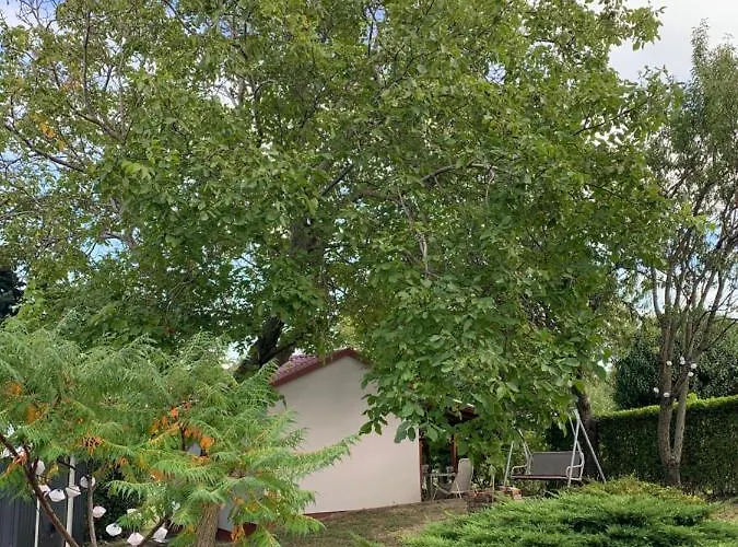 Mandulas A Kishaz Dezsaval Es Kilatassal A Balatonra Appartement